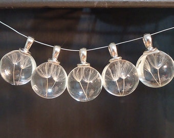 Dandelion Pendants, Authentic Pressed Dandelions in Glass Spheres, 15mm Round, Set of 5