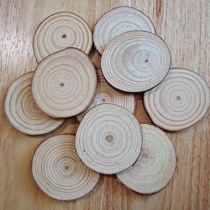 May include: A collection of ten round, light-colored wooden coasters. Each coaster displays concentric growth rings and a central knot, showcasing the natural grain of the wood. The coasters are arranged on a light-brown wooden surface.