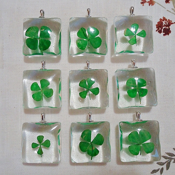 Pressed Four Leaf Clovers in Glass, 1 1/8 Inch Square with Bail, Set of 5