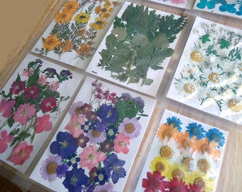 Pressed Dried Flowers and leaves for Resin Crafts- Blue, Purple, Red, White, Green, Pink, Yellow, Orange - 5 1/2" x 3 7/8" card