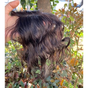 May include: A dark brown hairpiece with wavy texture. The hairpiece is held up against a background of green and brown foliage. The hair appears to be natural and has a slight sheen.