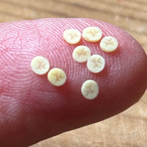 May include: A close-up of a fingertip with ten small, white, star-shaped pasta pieces.