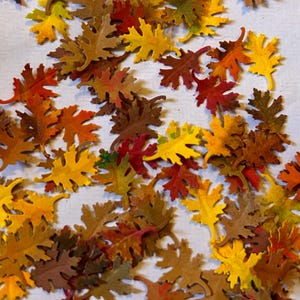 May include: A collection of autumn leaves in various shades of red, orange, yellow, and brown. The leaves are scattered on a white surface.