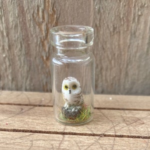 Tiny Snowy owl in a bottle pendant necklace