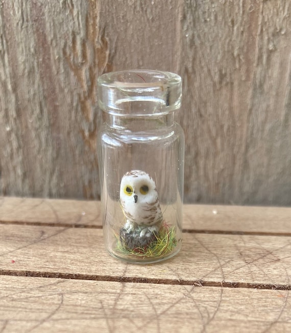 Tiny Snowy owl in a bottle pendant necklace by Wyrdworldminiatures