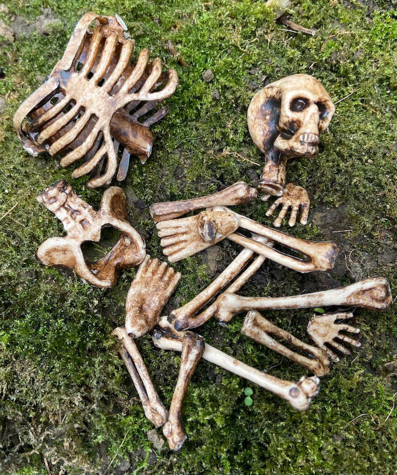 Skull with a pile of old bones Halloween 1/12 scale for dolls house skeleton image 1