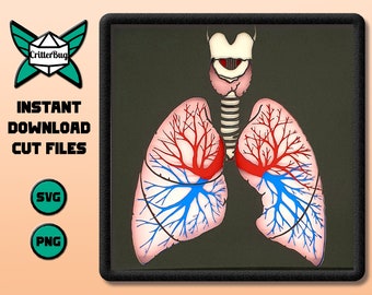 Anatomy - Lungs SVG/PNG Cut File