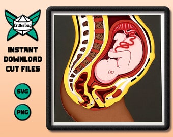 Anatomy - Pregnancy SVG/PNG Cut File
