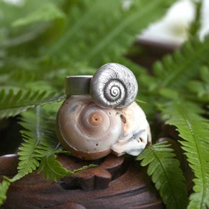 Snail Shell Ring, Natures Spiral Design, Snailshell, Gastropod, Garden Jewelry, Nature Lover Gift
