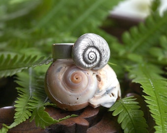 Sterling Silver Snail Shell Ring, Garden Jewelry, Nature Lover Gift