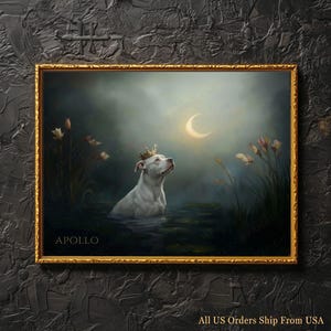 Pode incluir: Uma impressão de arte emoldurada com um cão branco usando uma coroa de ouro, em pé na água, olhando para uma lua crescente. A obra de arte tem uma moldura dourada e a palavra "APOLLO" é impressa no canto inferior esquerdo.