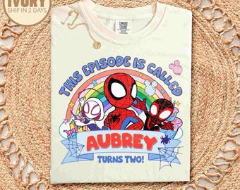 Personalized Spidey Birthday Shirt, Superhero Family Matching Birthday Party Shirt,Team Birthday,Superhero Birthday Shirt,Spidey
