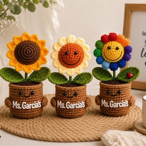 Personalized Crochet Flower Pot Teacher Gift, Custom Teacher Name Crochet Plant, Handmade Sunflower Desk Decor, Thank You Teacher Gift
