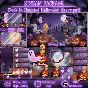 Purple Haunted Halloween Graveyard Stream Package, Spooky Witch Duck Pumpkin Ghost Twitch Overlay, Bat, Tombstones Cemetery, Forest, Spider