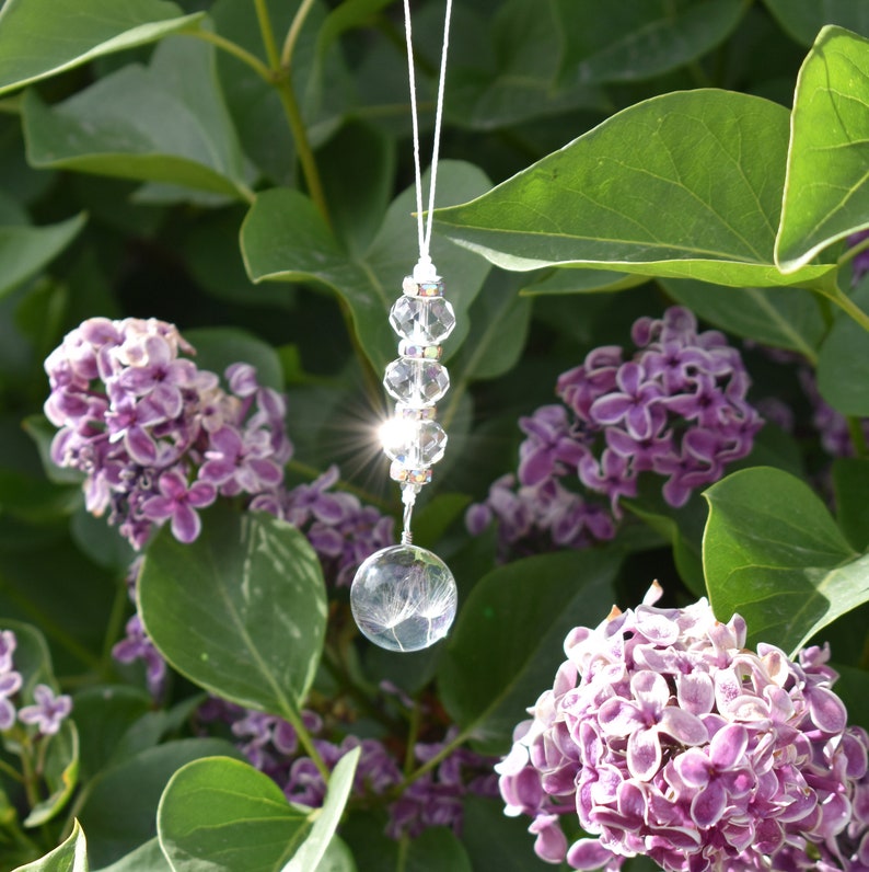 crystal and dandelion seed suncatcher, crystal charm, make a wish sun catcher