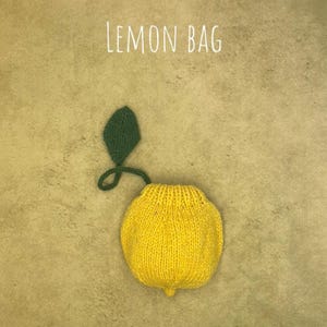 Hand-Knit Lemon & Leaf Storage Pouch Natural Wool Cosmetic Organizer Unique Eco-Friendly Gift for Her Special Birthday gift or Travel bag