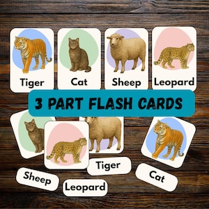 Montessori Animal Flash Cards: Preschool Learning Printable (3-Part Cards)