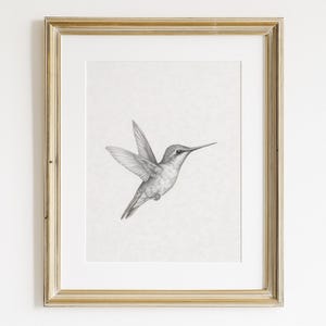 Hummingbird Sketch Wall Art, Vintage Bird Nursery Print, Antique Bird Illustration, Neutral Minimalist Wall Decor Printable, Rustic Decor