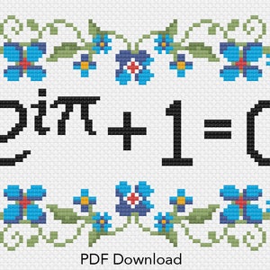 Peut inclure: Modèle de point de croix représentant l'équation mathématique "e^(i*pi) + 1 = 0" entourée d'une bordure de fleurs bleues avec des feuilles vertes.