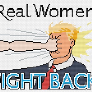 Les vraies femmes combattent le motif de point de croix. Drôle de point de croix. Artisanat subversif anti Trump. A bas Trump et les idiots nazis !