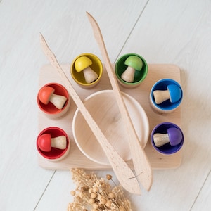 Montessori Color Sorting Mushrooms- WOODEN EDUCATIONAL TOY