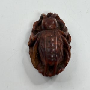 May include: A carved wooden insect figurine, likely a beetle, in shades of brown. The insect has detailed wings and body segments. The figurine is set against a plain white background, highlighting the intricate carving and natural wood grain.