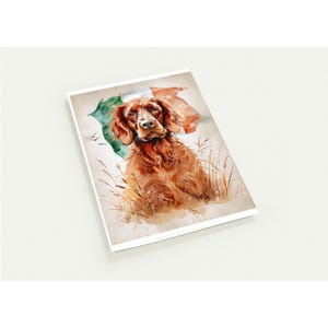 Pacchetto di carte Irish Red Setter - Set di 10 carte vuote a tema irlandese - Buste incluse