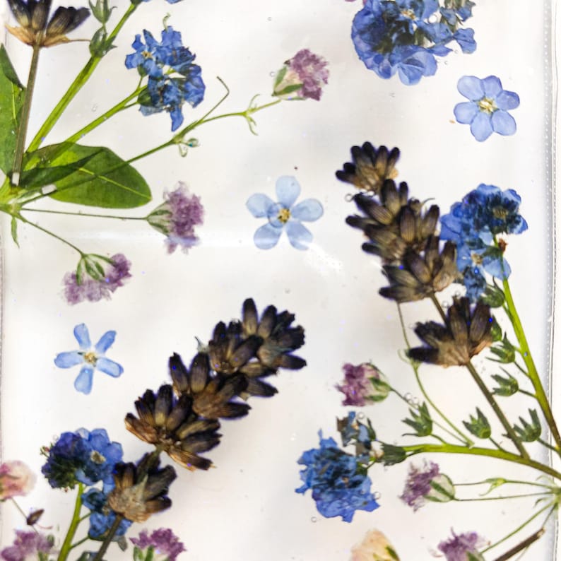 May include: A clear, rectangular object filled with dried flowers. The arrangement includes blue forget-me-nots, lavender, and small purple flowers. Green stems and leaves are also visible, set against a white background.