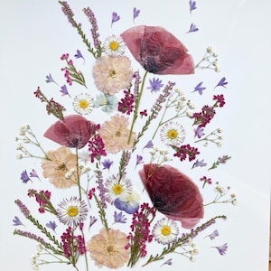 Ensemble de fleurs pressées de prairie pour le gâteau, plantes séchées pour l'artisanat, fleurs comestibles, art végétal réel, pavot pressé, fleurs pressées pour le bricolage