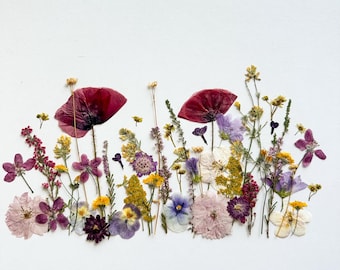 Rich Meadow Pressed Flower set, Real Dried Flowers, Scrapbooking, Flowers For Floral Arrangements, Meadow Edible Plants, Flowers For Candles
