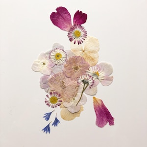 May include: A collection of dried flowers in shades of pink, purple, and cream, arranged on a white background. The arrangement includes daisies, petals, and other floral elements, creating a delicate and natural aesthetic.