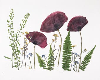 Forest Meadow Pressed Flower set, Real Dried Flowers, Scrapbooking, Floral Arrangements, edible flowers for cake, Flowers For Candles