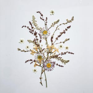 Set di fiori pressati Boho Tons per artigianato, fiori secchi veri, scrapbooking, fiori per composizioni floreali, fiori per torte commestibili biologici