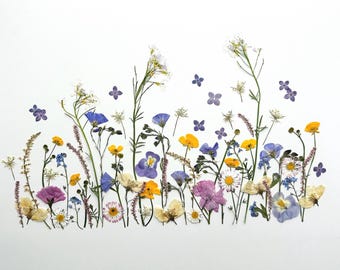 Spring Field Pressed Flower Set | Real Dried Flowers | Edible Flowers for Cake Decoration | Wildflower Floral Boho Wedding Cake Decor Edible
