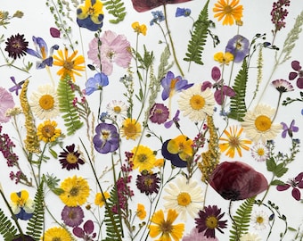 Grande torta colorata, set di fiori pressati veri, set di fiori per torta, piante secche per torta nuziale, viole del pensiero commestibili, fiori pressati