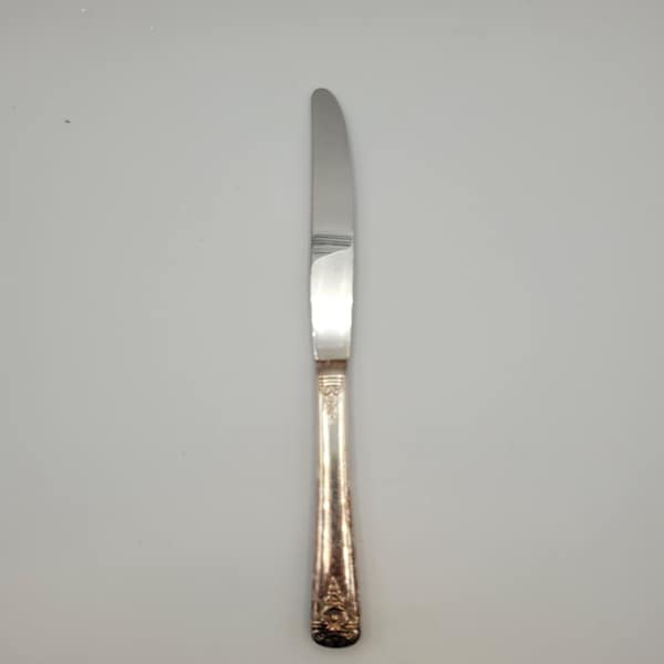 Wm Rogers Dinner Knife Silverplate Vintage Spring Charm Flatware Patina