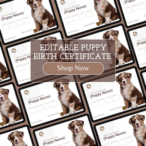 Bewerkbaar geboortecertificaat voor huisdieren, nieuwe puppy-eigenaar, geboortecertificaat, nieuw puppycertificaat, direct downloaden