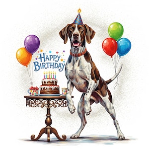 Può includere: Un cane Pointer tedesco con un cappello da festa è in piedi vicino a un tavolo con una torta di compleanno e palloncini. Il cane ha segni marroni e bianchi e un collare rosso. Le parole "Buon Compleanno" sono scritte sopra la torta.