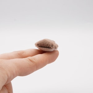 Mini Clodsire EXTRA PEQUEÑO Peluche Mochi Minky Squishy Nuget