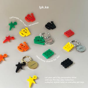 May include: A collection of colorful pet tags in various shapes, including stars and letter-shaped designs. Some tags are attached to keyrings with engraved nameplates. The text "lyk.ke" is visible.