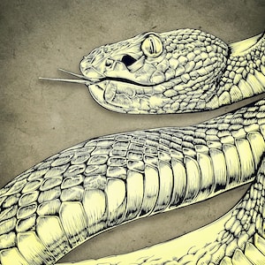 Shamanic Art Print – Large Format Illustration | Mystical Spiritual Wall Decor | Serpent
