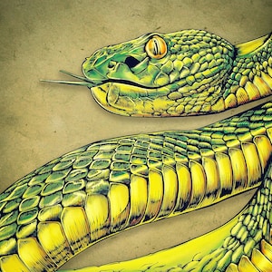 Shamanic Art Print – Large Format Illustration | Mystical Spiritual Wall Decor | Serpent