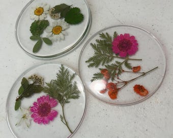 Dried flower coasters