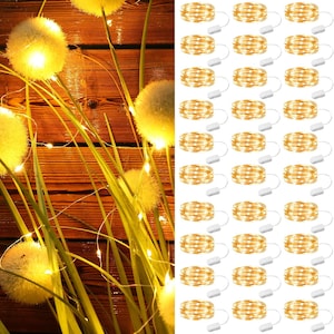 30 Pack Fairy Lights Battery Operated Warm White,7Ft 20LED Mini String Light, Waterproof Twinkle Light Silver Copper Wire Lights