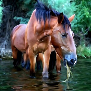 Salt River Wild Horse Eating, Mesa, AZ  - Photo for Canvas print w. Watercolor Effect
