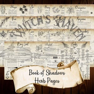 Herb Pages Book of Shadows I Grimoire Pages I Baby Witch I Digital Download I Printable PDF Pages