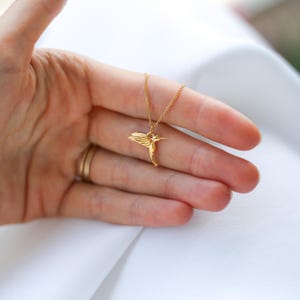 K&ouml;nnte beinhalten: Eine goldfarbene Halskette mit einem Anh&auml;nger in Form eines Kolibris. Der Anh&auml;nger zeigt ein detailliertes Kolibri-Design mit ausgebreiteten Fl&uuml;geln. Die Halskette wird auf einer Hand pr&auml;sentiert, die die zarte Kette und den Anh&auml;nger zeigt. Der Hintergrund ist ein weicher, wei&szlig;er Stoff.