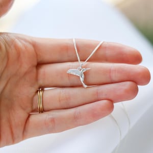 K&ouml;nnte beinhalten: Halskette mit silbernem Anh&auml;nger in Form eines Kolibris. Der Anh&auml;nger ist eine detaillierte Miniatur eines Kolibris mit ausgebreiteten Fl&uuml;geln. Die Halskette ist filigran und silberfarben. Der Anh&auml;nger ist ca. 2,5 cm lang.