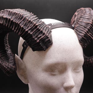 May include: A pair of dark brown, textured ram horns attached to a black headband. The horns are curved and detailed, with a reddish-brown hue in the grooves. The horns are mounted on a white mannequin head.