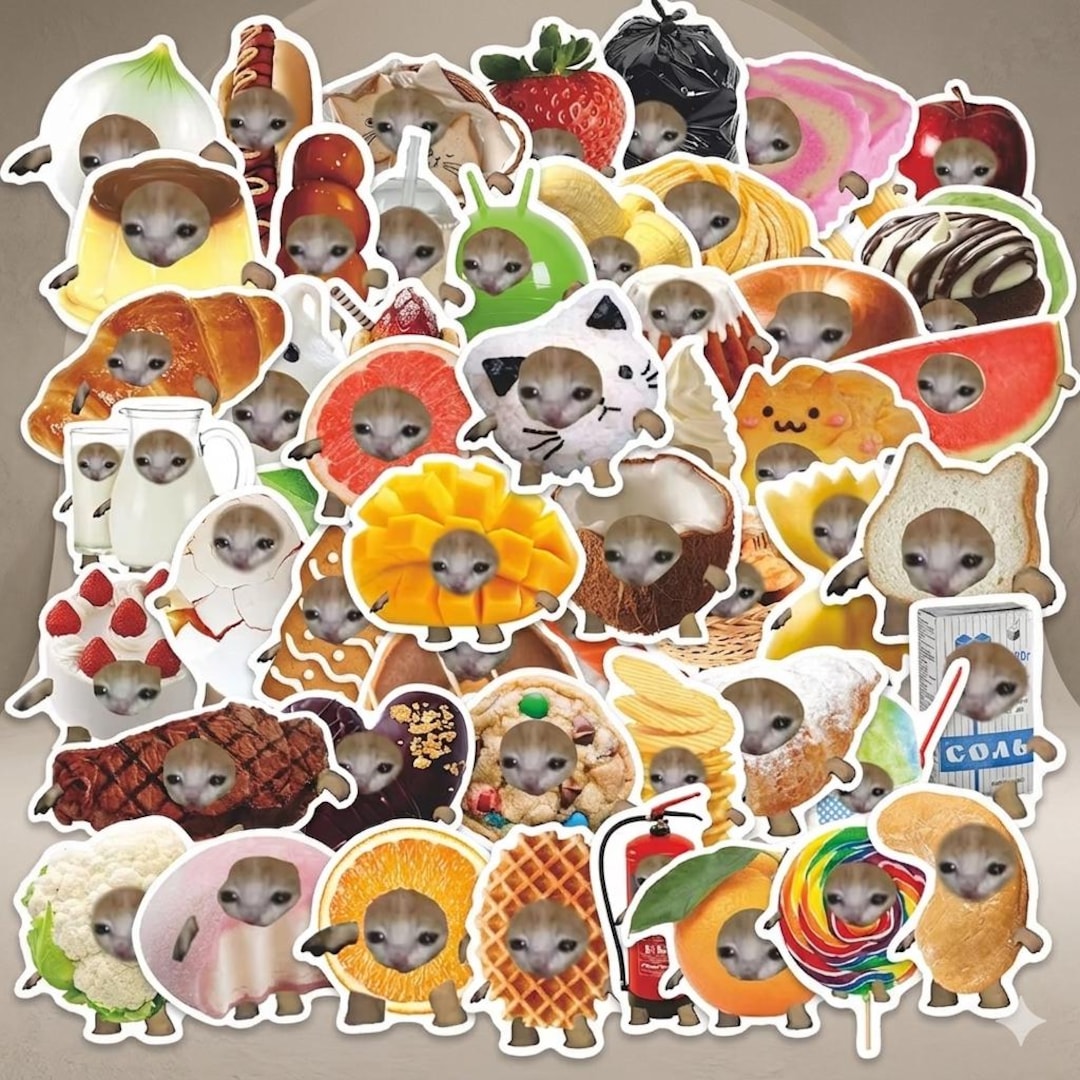 50 Cat Meme Stickers Kitty Faces Cute Cats - Etsy